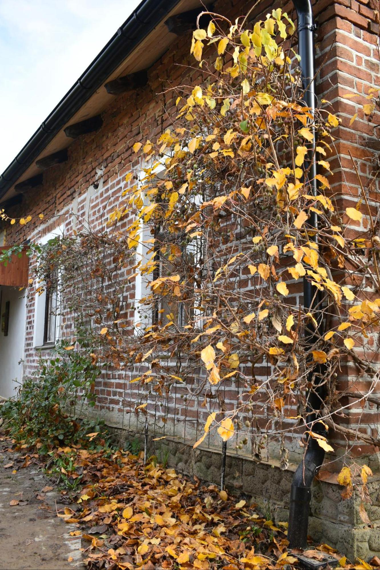 Cihloffka Prijedte Vypnout. Holiday home Rovensko pod Troskami